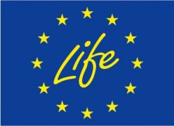 European Solidarity Corps – LIFE call for proposals