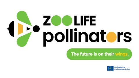 Zoo LIFE Pollinators – Zoološki vrtovi kao lokalne žarišne točke obnove i očuvanja u urbanim i periurbanim područjima te ambasadori građanske znanosti za zaustavljanje opadanja populacija oprašivača u antropogenim prostorima